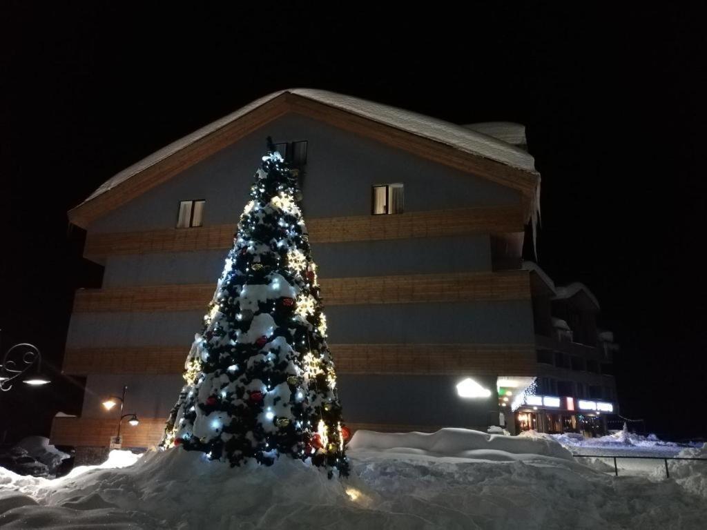 7 Senses Luxury Apartment Gudauri Kültér fotó